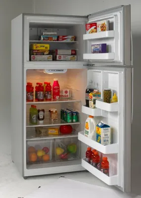 18.0 Cu. Ft. Frost Free Refrigerator
