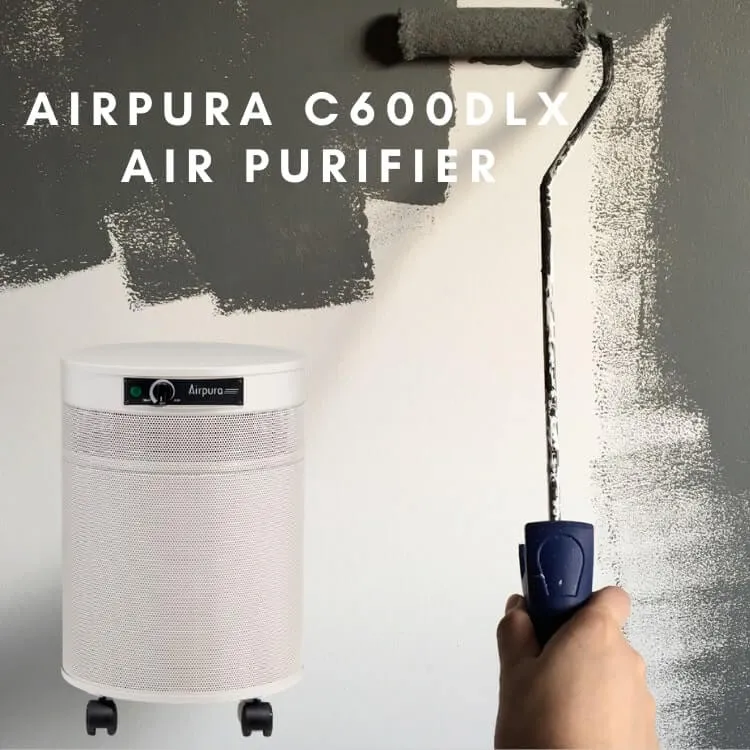 Airpura C600DLX Allergies, Asthma, Chemical, MCS and Odor Air Purifier
