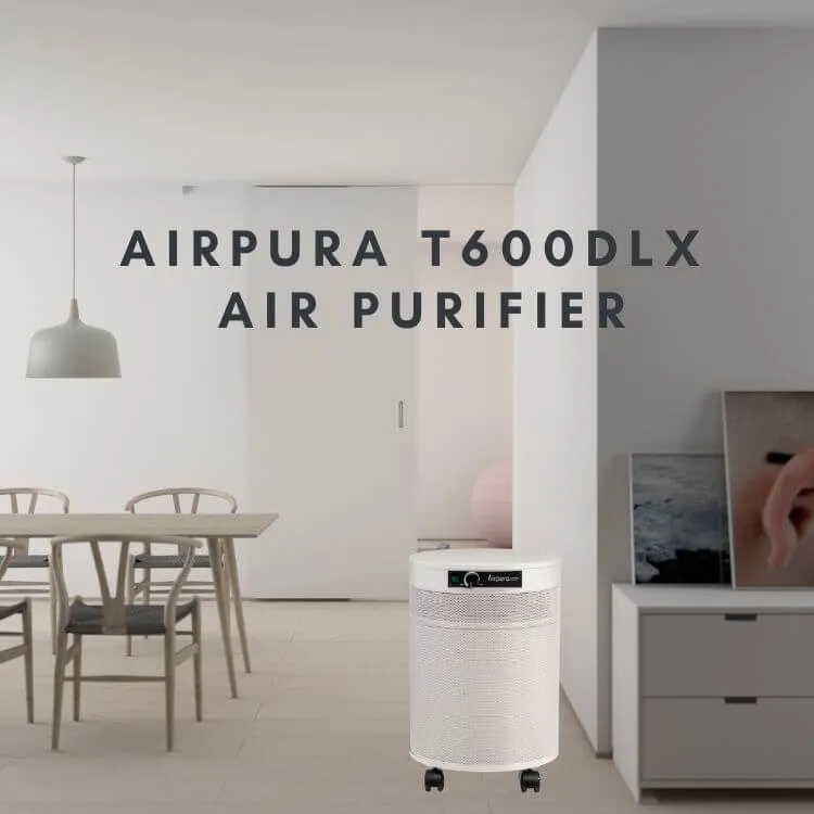 Airpura T600DLX Smoke and VOCs Air Purifier