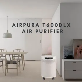 Airpura T600DLX Smoke and VOCs Air Purifier