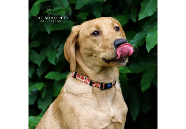 Ancol Soho Pet Maple Leaf Patterned Collar