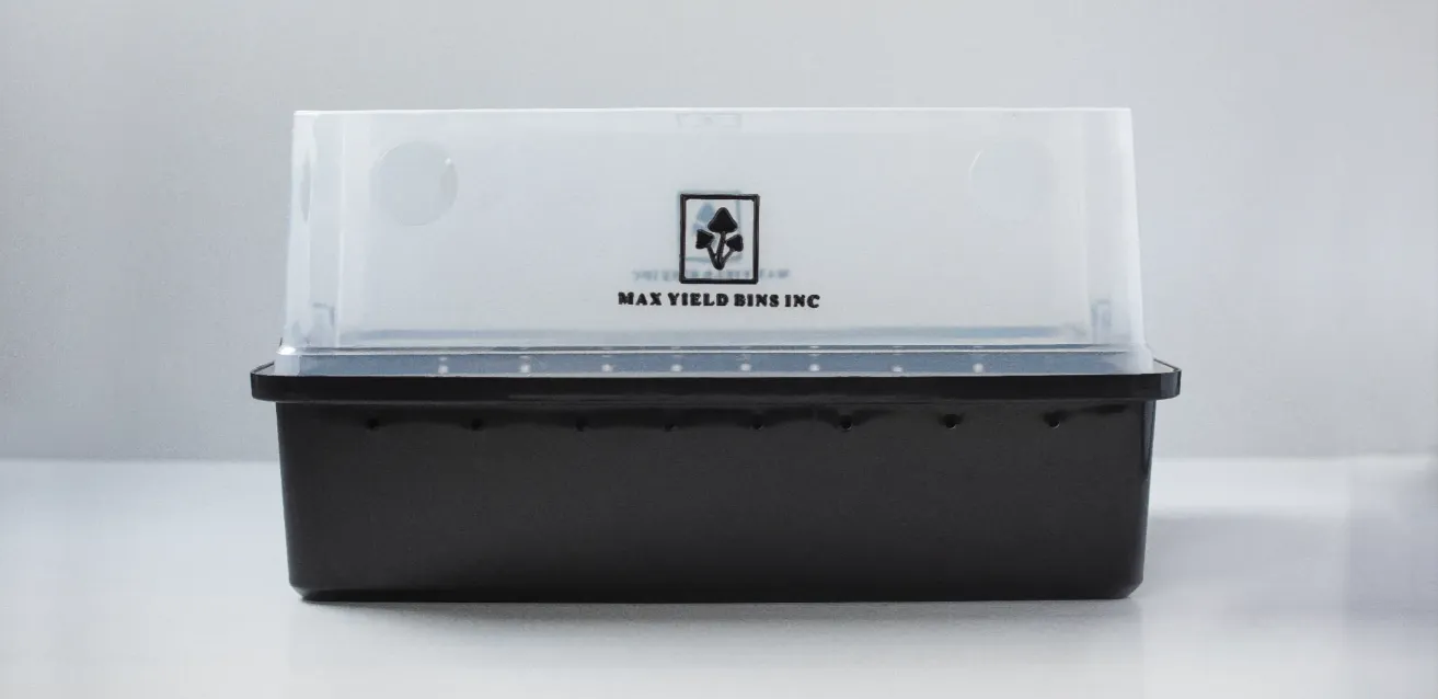 BuildASoil All-In-One Mushroom Growing Kit