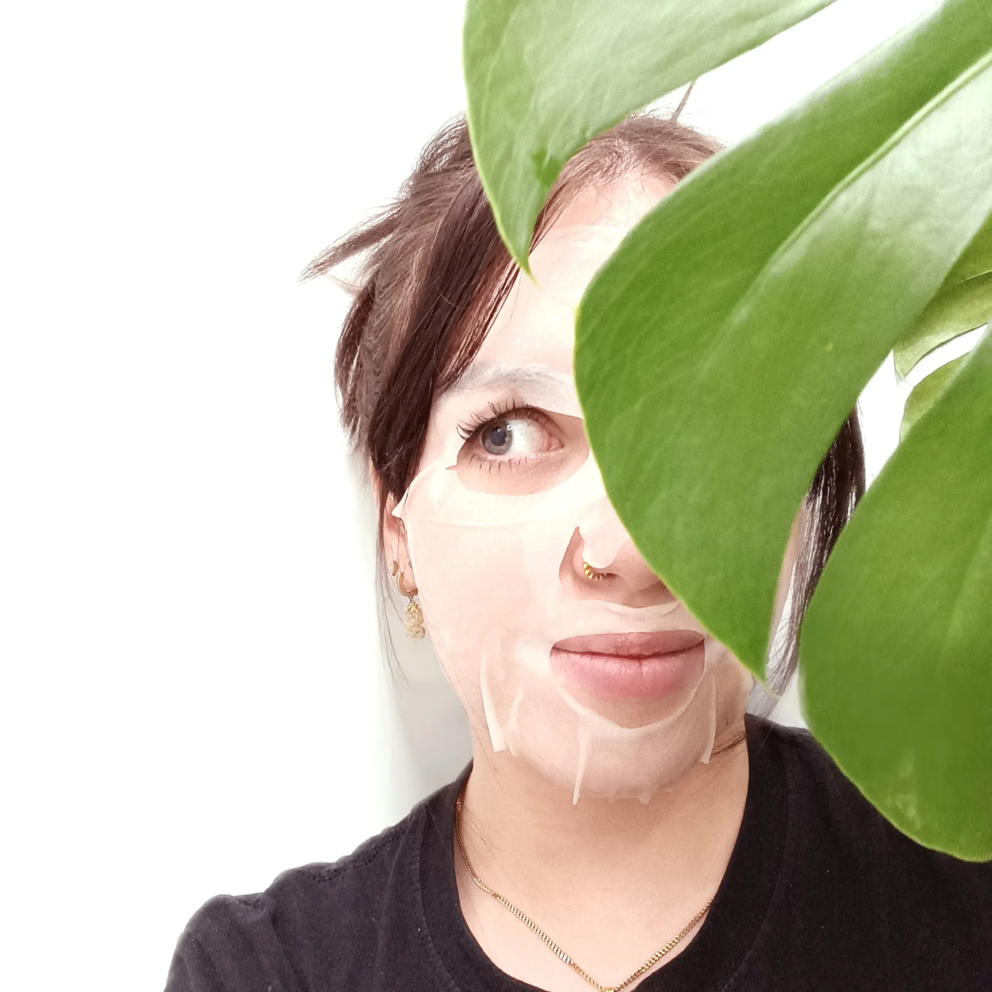 CICA   NIACINAMIDE Facial Sheet Mask - 100% Biodegradable