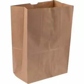 Duro Sacks Virgin Natural Kraft 1/6 BBL 12" x 7" x 17"