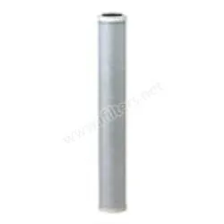 Everpure Costguard CG53-20S Water Filter Cartridge