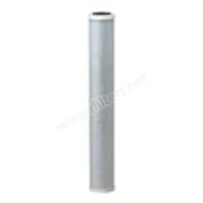 Everpure Costguard CG53-20S Water Filter Cartridge