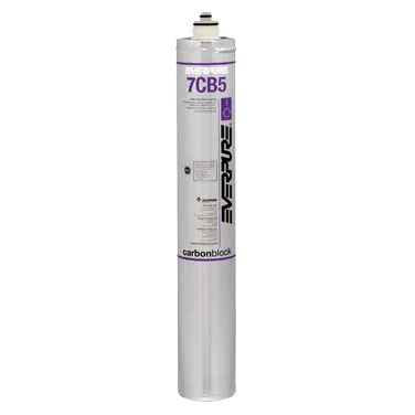 Everpure EV961816 7cb5 Filter Cartridge for Steamers | Denson CFE