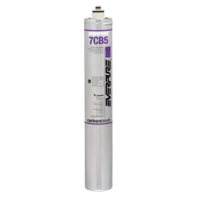 Everpure EV961816 7cb5 Filter Cartridge for Steamers | Denson CFE
