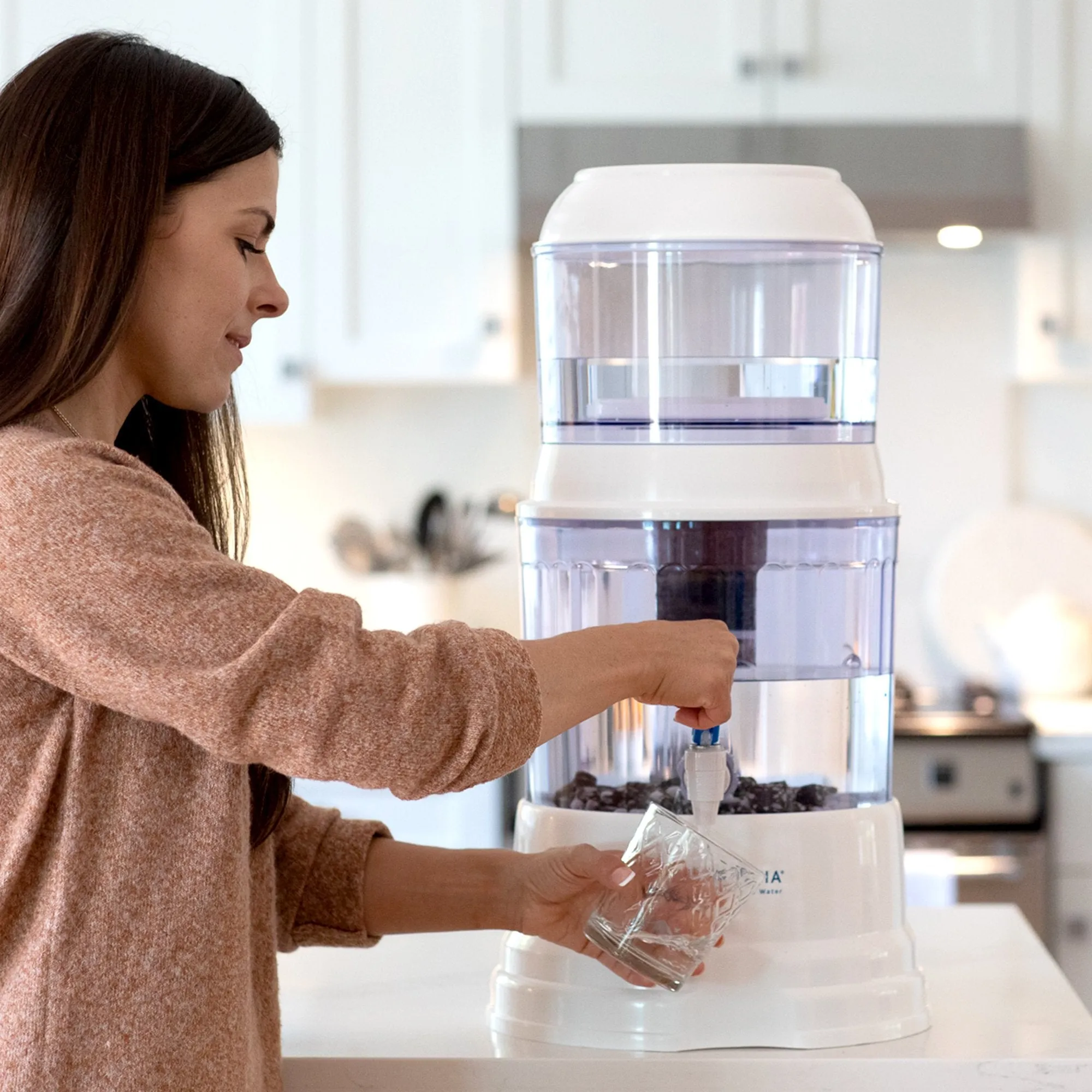 Gravity Water System Fluoride Removal Filter Combo Packs