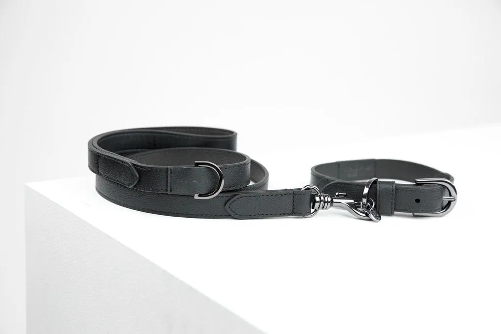 MaxBone Jewel Jet Dog Leash