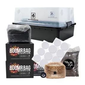 NORTH SPORE Boomr Bag Monotub Mushroom Grow Kit