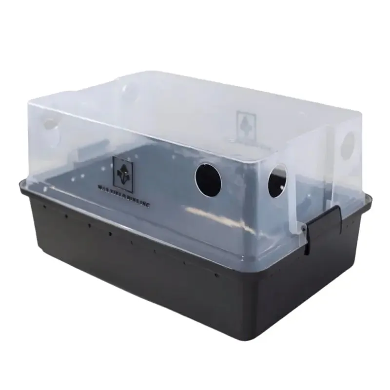 NORTH SPORE Boomr Bag Monotub Mushroom Grow Kit