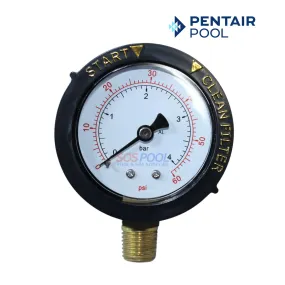 Pentair Clean and Clear Filter Pressure Gauge Replacement | 0-60 PSI |  1/4 inch Top Mount | 190058