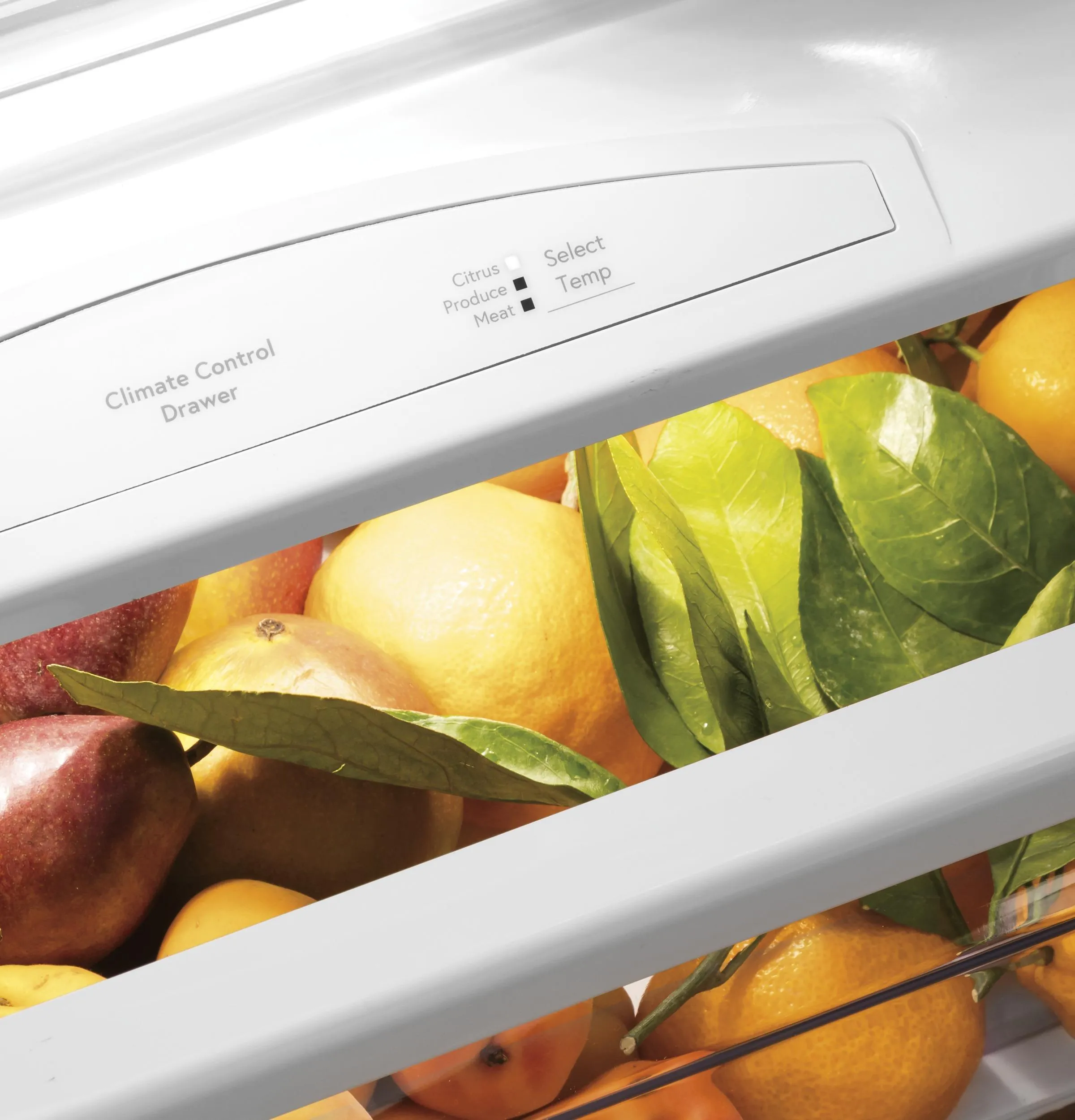 PSB48YSNSS GE Profile™ 48" Smart Built-In Side-by-Side Refrigerator with Dispenser