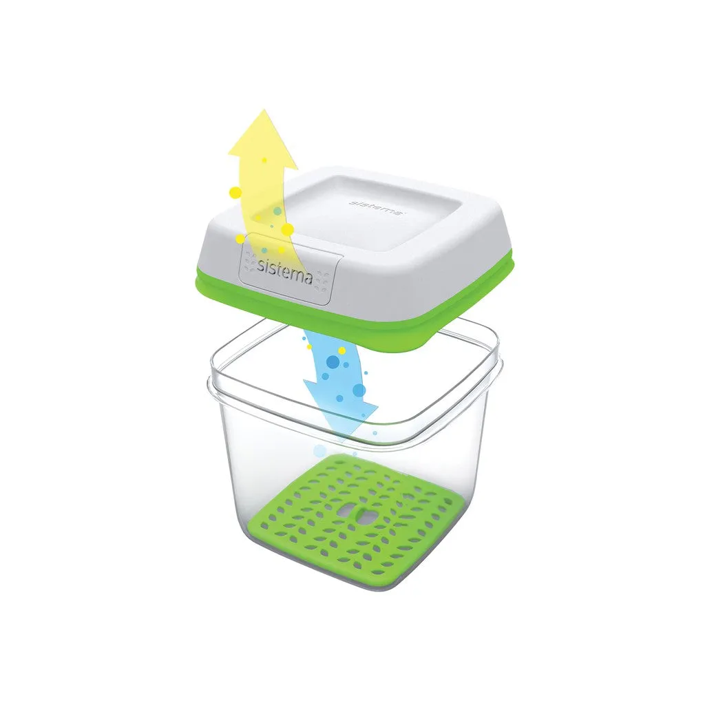 Sistema FreshWorks -2.6L Large Square