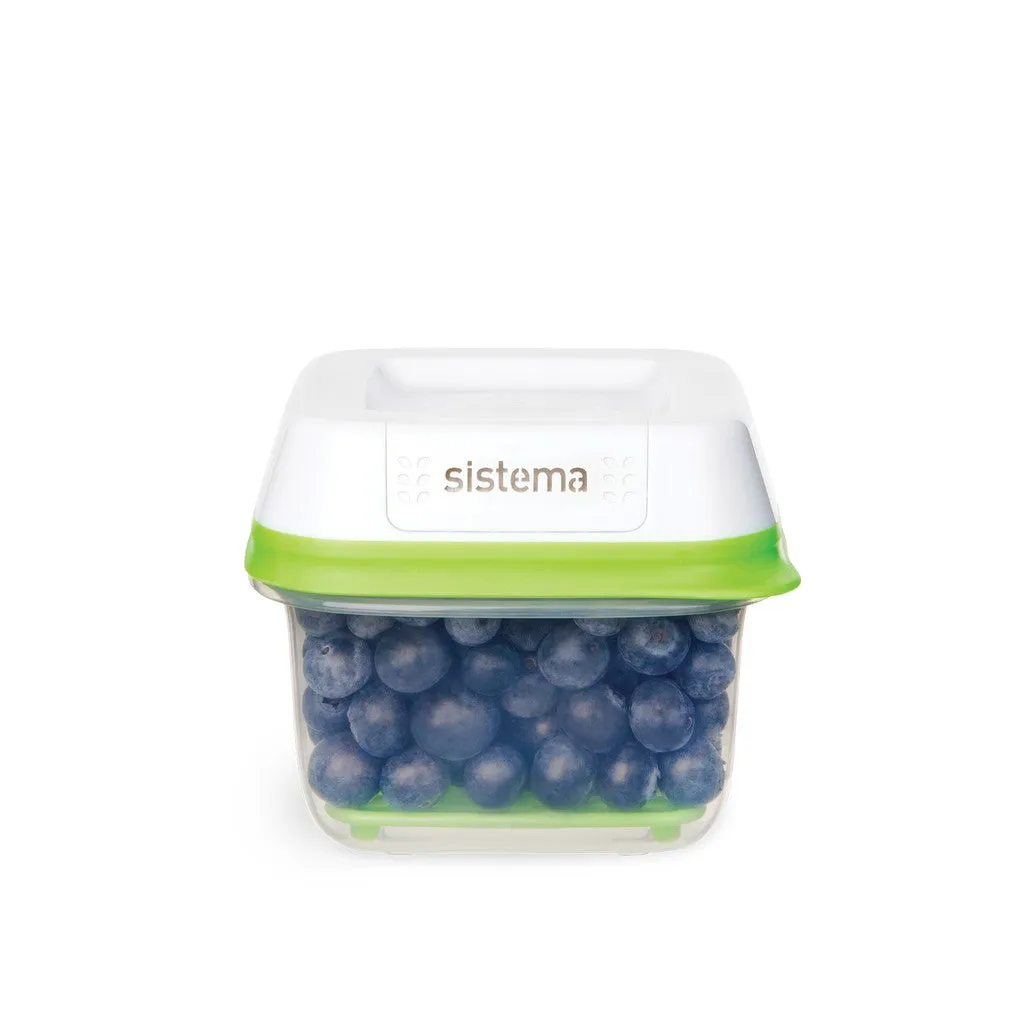 Sistema FreshWorks -591ml Small Square