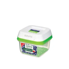 Sistema FreshWorks -591ml Small Square